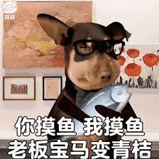 掘金安东尼于2022-08-09 17:12发布的图片