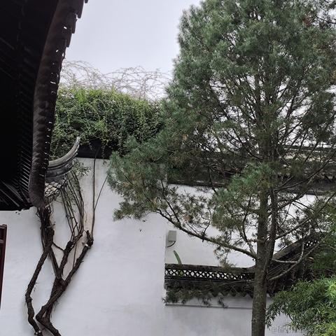 狗熊岭在逃翠花于2023-11-13 09:36发布的图片