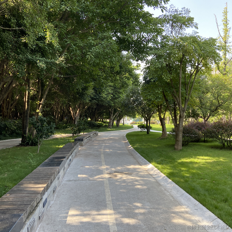 doncoi_于2023-07-29 10:11发布的图片