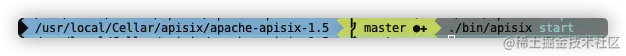APISIX(v1.5)启动过程源码分析