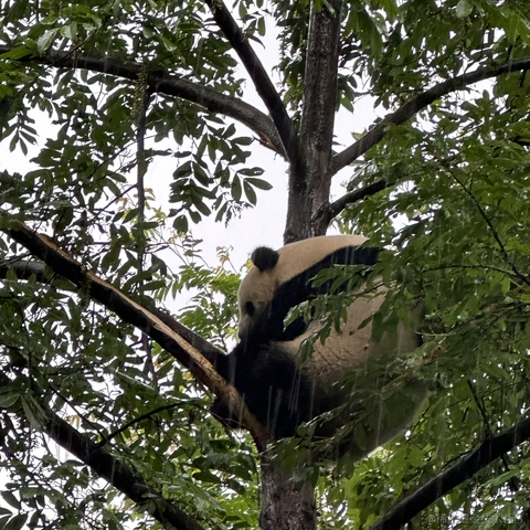 已注销于2024-07-02 11:34发布的图片