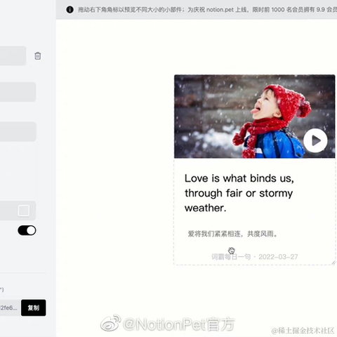NotionPet于2022-03-28 00:29发布的图片