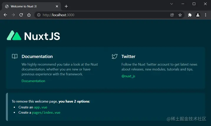 Nuxt starter project home page