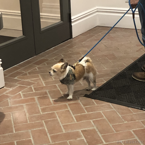 stanleykubrick于2022-11-30 17:41发布的图片