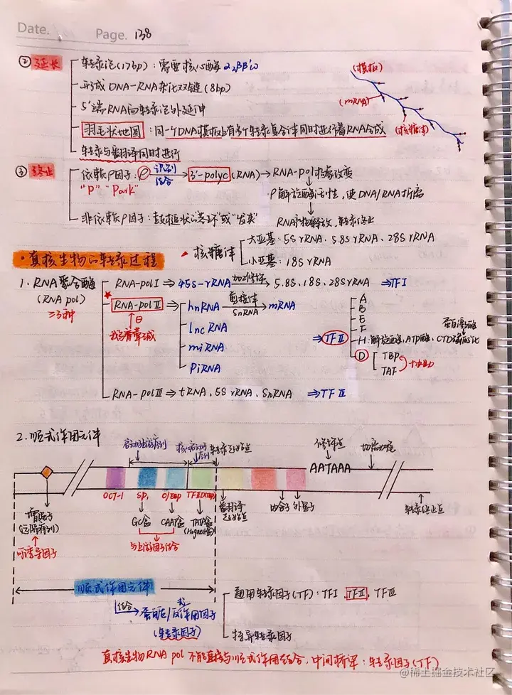 生化手写笔记.pdf