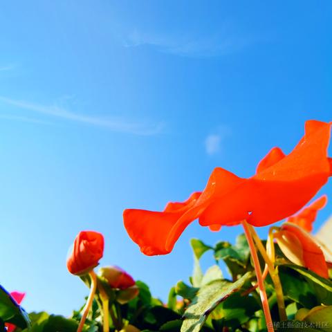 是但求其愛于2021-02-20 10:25发布的图片