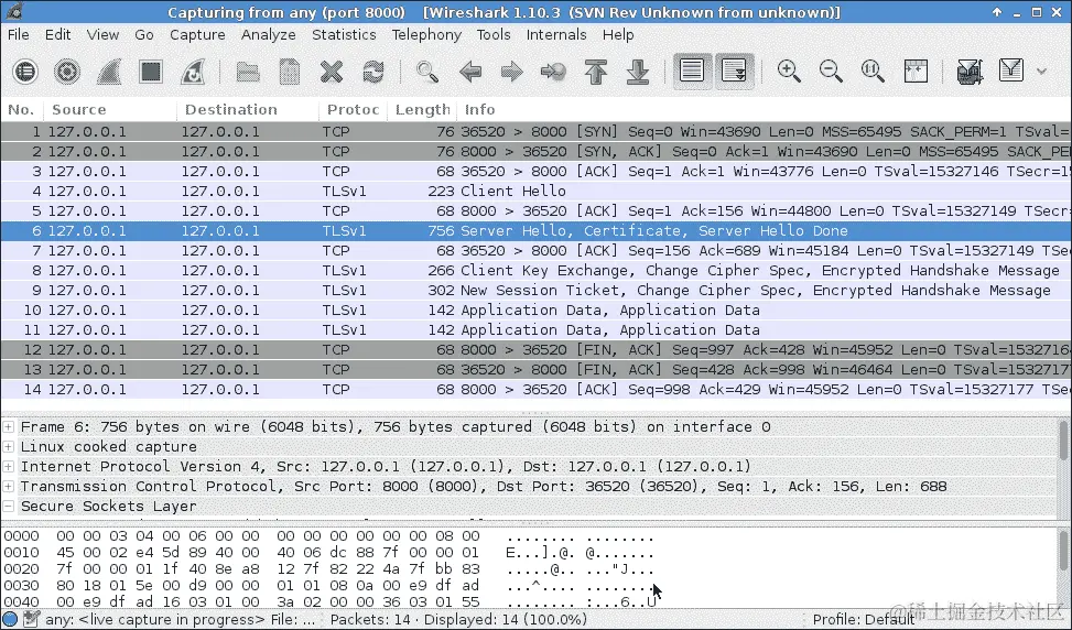 检查自定义 SSL 客户端/服务器之间的交互