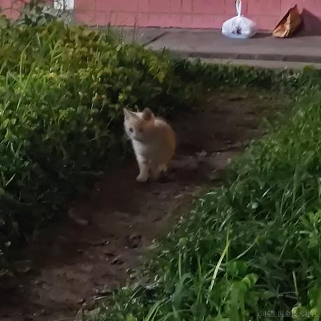 用户113997850954于2023-05-11 14:43发布的图片