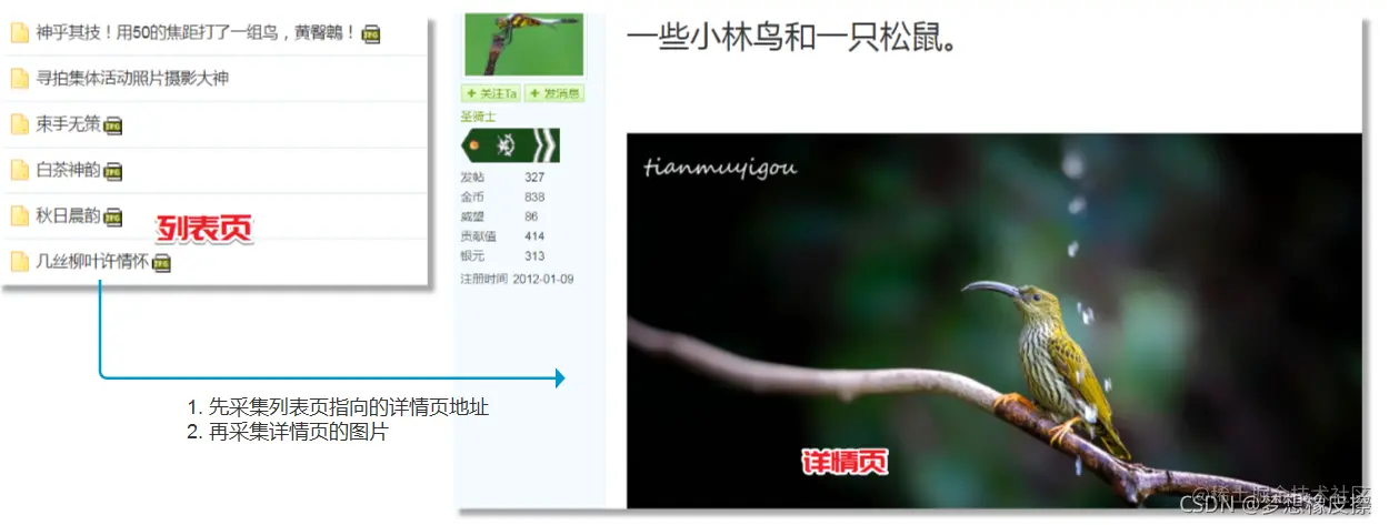 用python看溧阳摄影圈，里面照片非常真实，一个地方活跃摄影论坛的采集之路