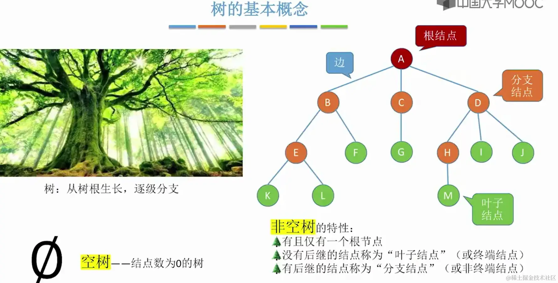 image-20231111215907696