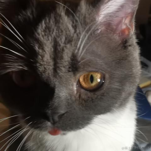 二十一一于2023-05-26 22:12发布的图片