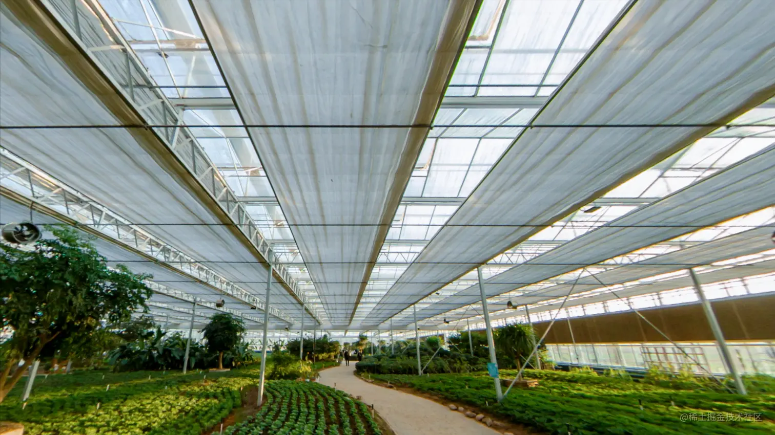 玻璃温室在冬季运营中哪些因素尤为重要