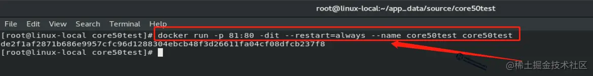 docker run命令启用我们的应用