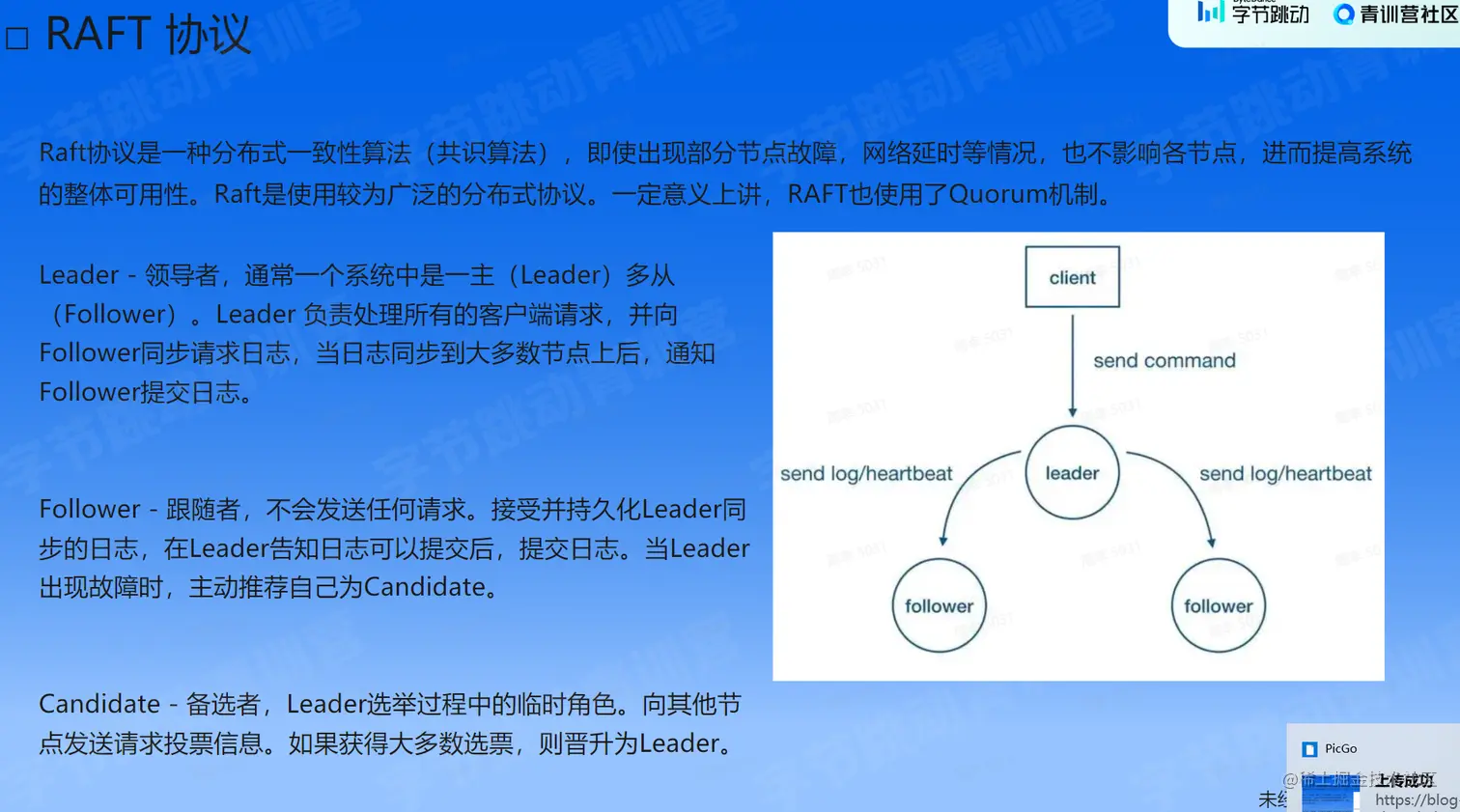 image-20230206194820372