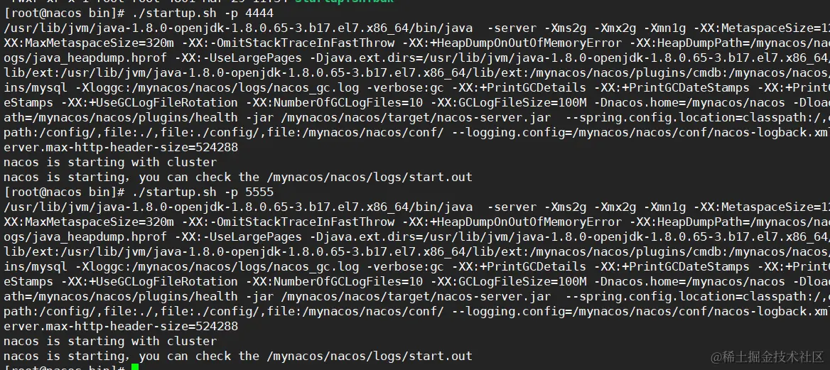 image-20220329183604762