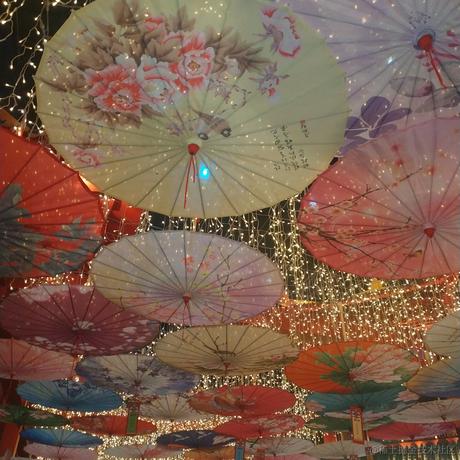 摆烂咸鱼_普拉斯于2023-06-29 21:43发布的图片