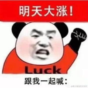 头脑发热于2023-09-04 15:05发布的图片