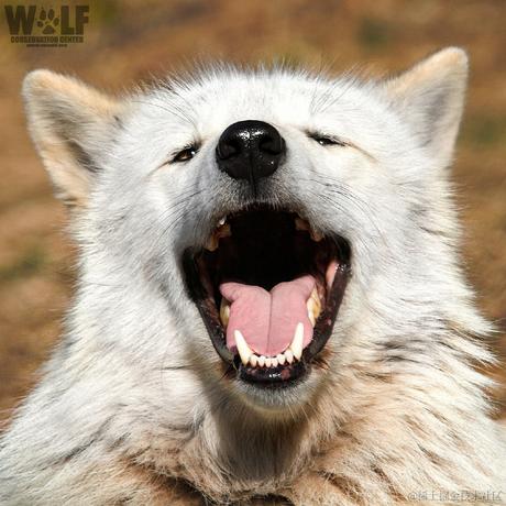 rika于2022-11-29 13:03发布的图片