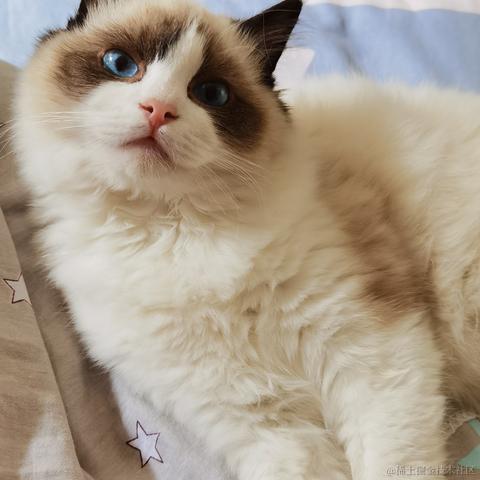 烤肉电线杆于2022-12-13 21:01发布的图片