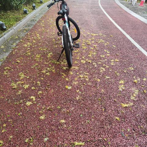 媛媛啊9813于2024-05-04 05:44发布的图片