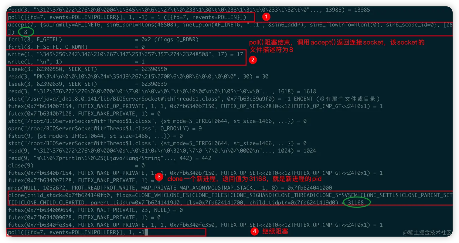 image-20221224184440712