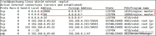 image-20220316094556682