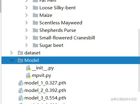 image-20220204151925730