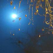 关山越的个人资料头像