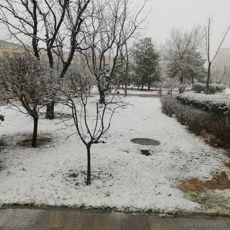 嘉然今天吃团子于2022-11-27 22:50发布的图片