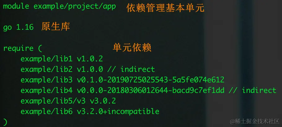 image-20230116194717118