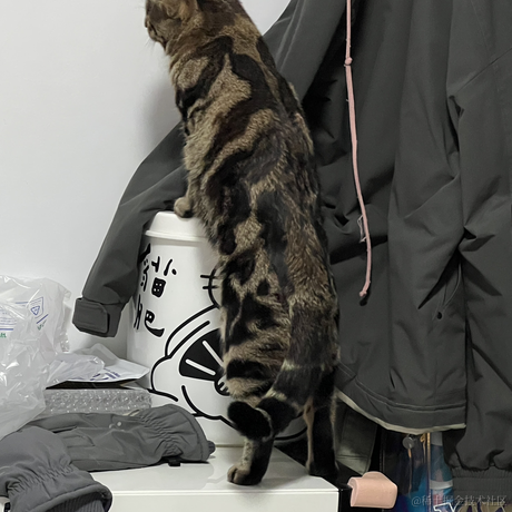 一颗小肉丸儿于2023-04-28 08:22发布的图片