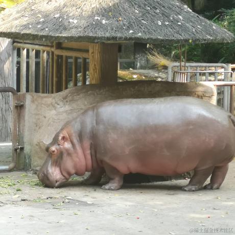 可爱小晚比于2022-11-24 07:59发布的图片