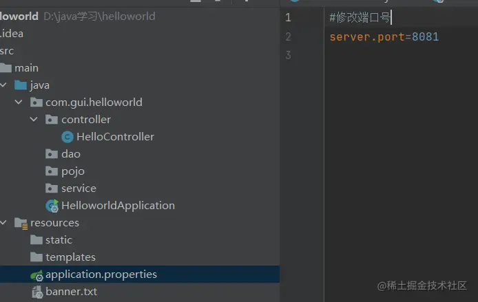 image-20220320170309217