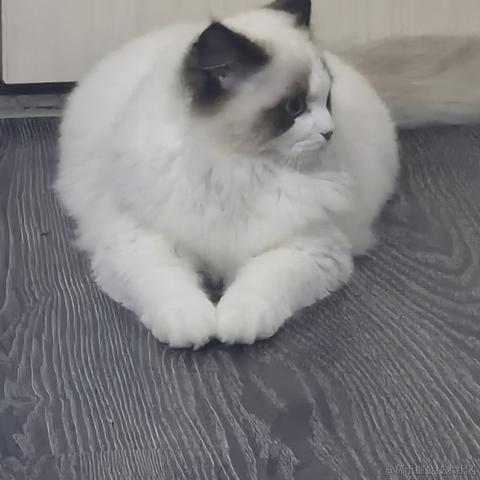 梦逸于2023-12-05 09:39发布的图片