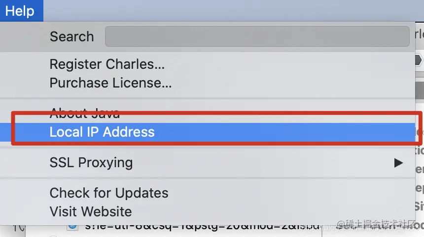 查看本机电脑ip