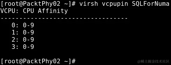 图 15.4 – 检查默认的 vcpupin 设置