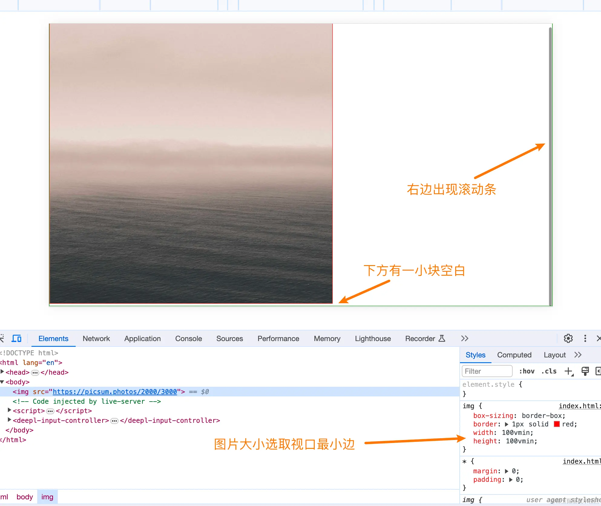 image-20231121213848630