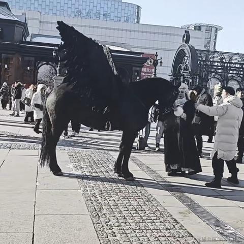 Reloading_转行保险了于2024-01-02 10:27发布的图片