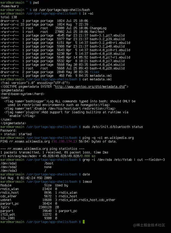 Unix 中的 Bash 终端示例