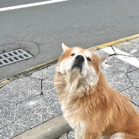 泻药本药于2022-12-15 18:06发布的图片