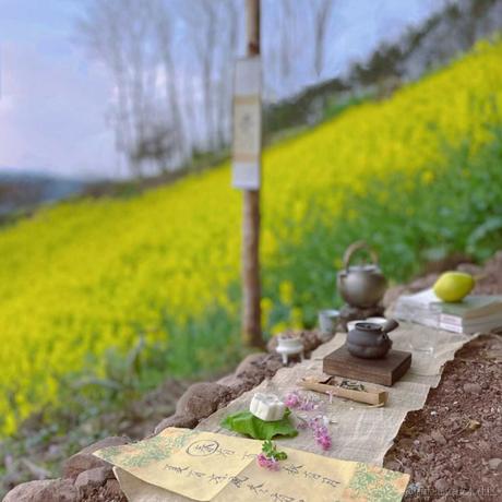 纯爱掌门人于2023-05-11 22:11发布的图片