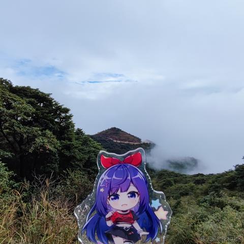 脆弱杨桃干于2022-11-09 10:30发布的图片