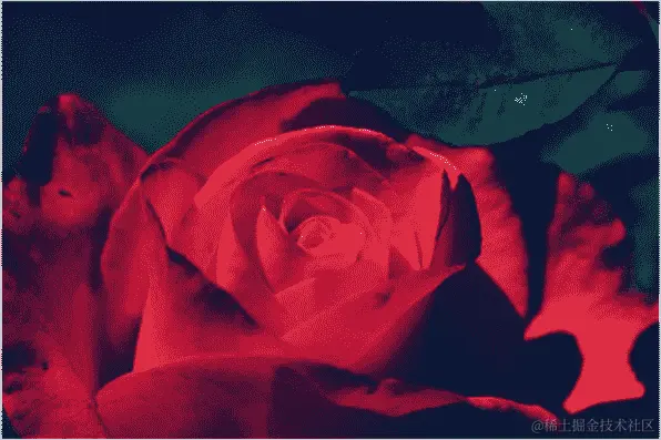 玫瑰图像示例 2