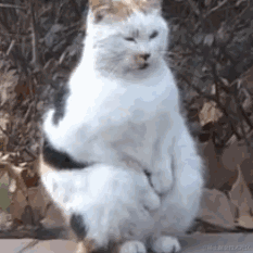 平泽呆唯于2021-01-25 18:39发布的图片