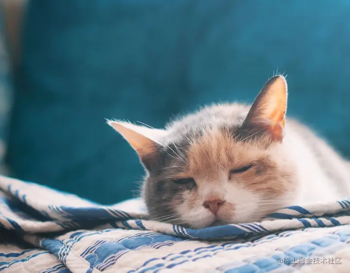 [深度学习编程细节-1]：Deterministic Model[确定性模型]