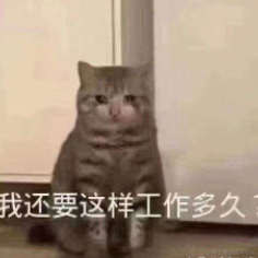 jnpfsoft于2023-05-30 09:35发布的图片