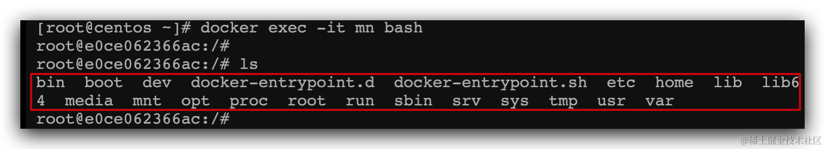 image-20210731164159811