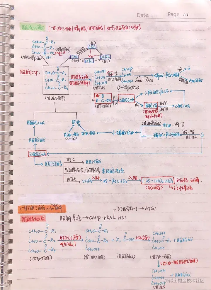 生化手写笔记.pdf