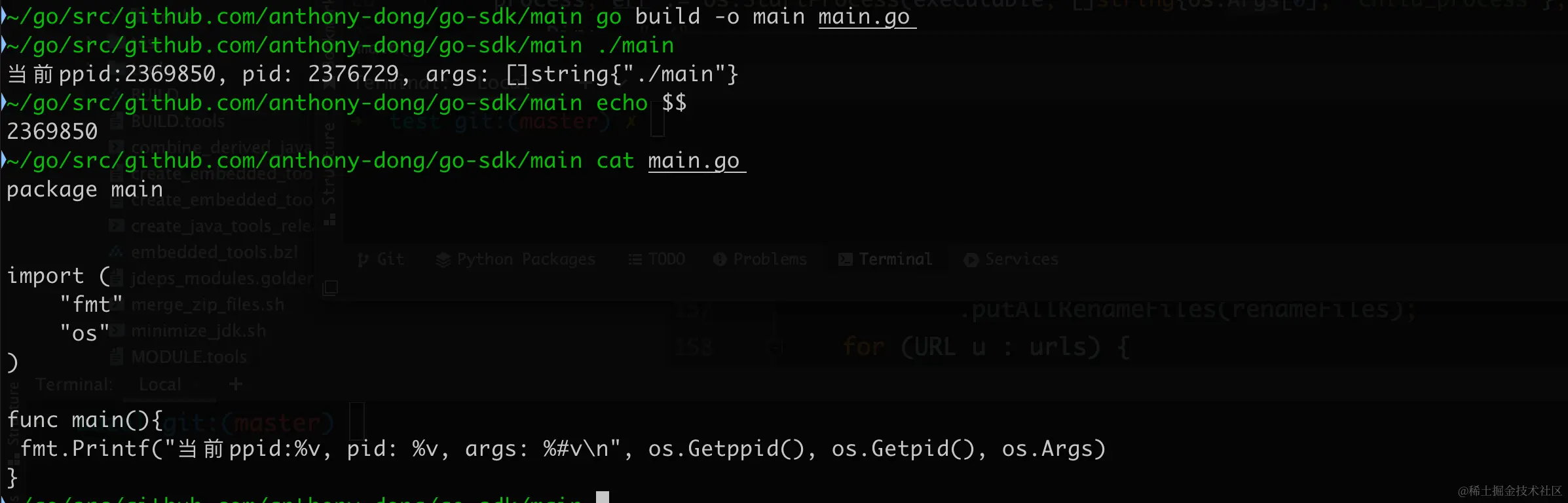 image-20230807134220378