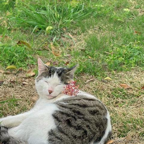 ntses于2023-04-01 18:38发布的图片